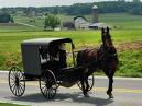 Amish - Stories Behind the News