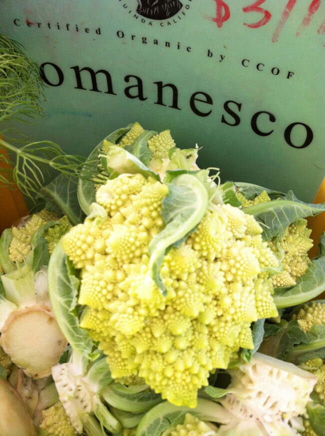 cruising farmer's marketss