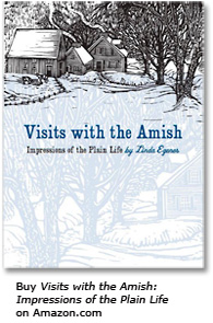 Buy Visits with The Amish on Amazon Market