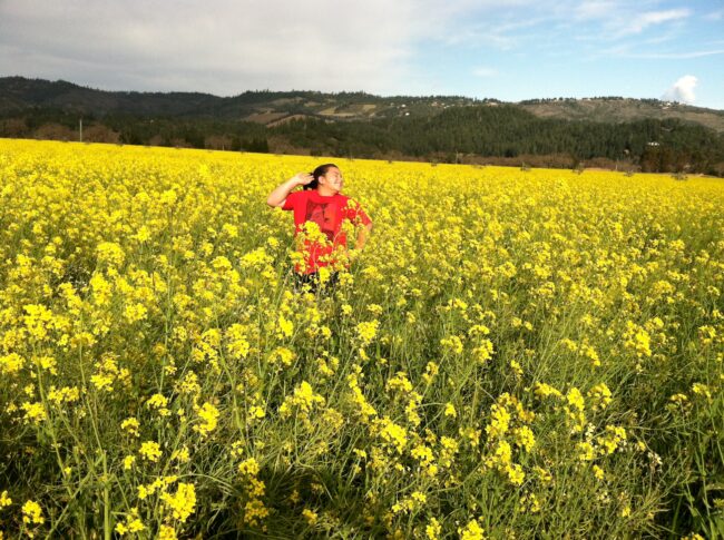 New Year's Resolutions