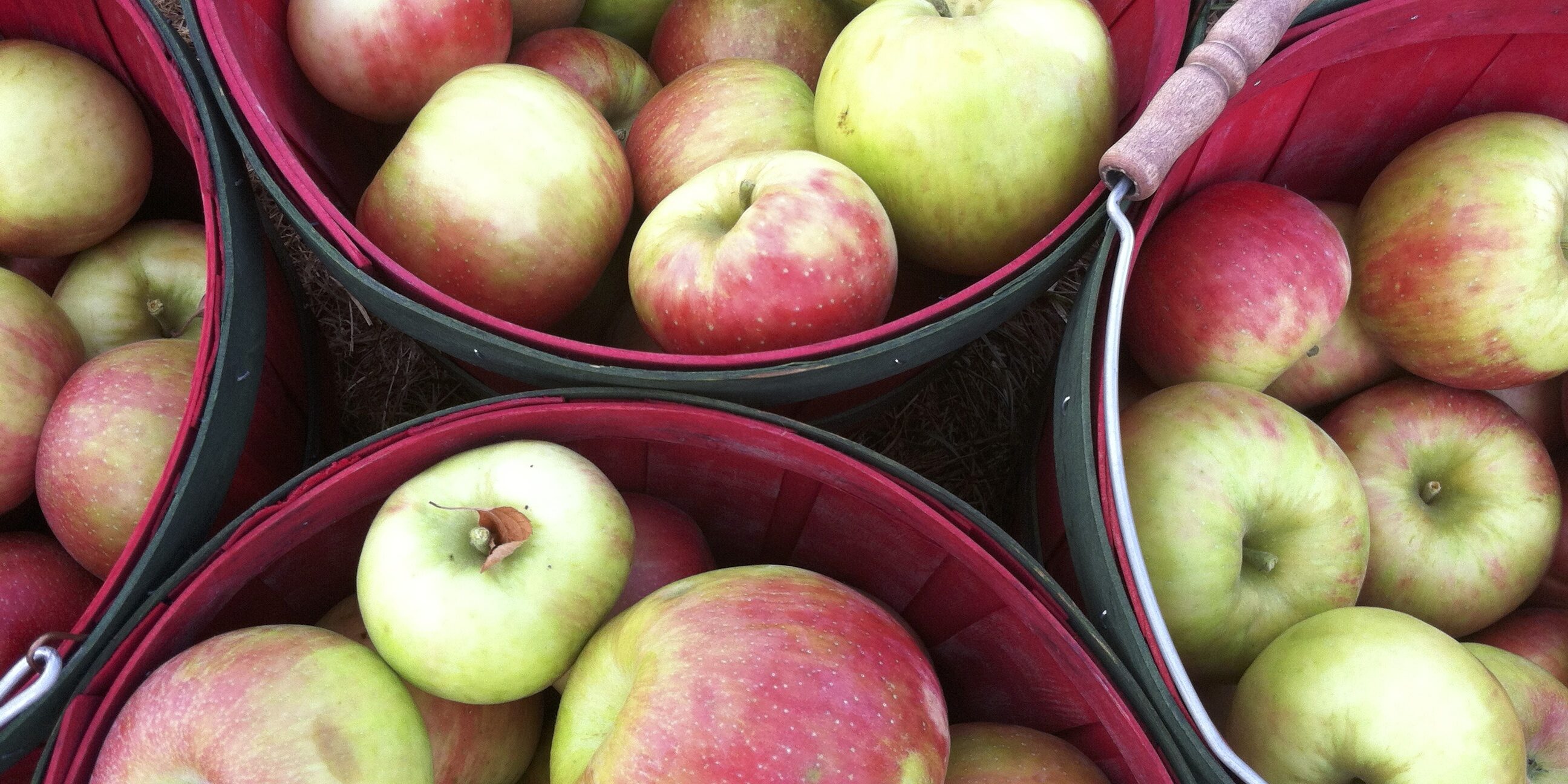 Ayurvedic diet Ayurvedic diet